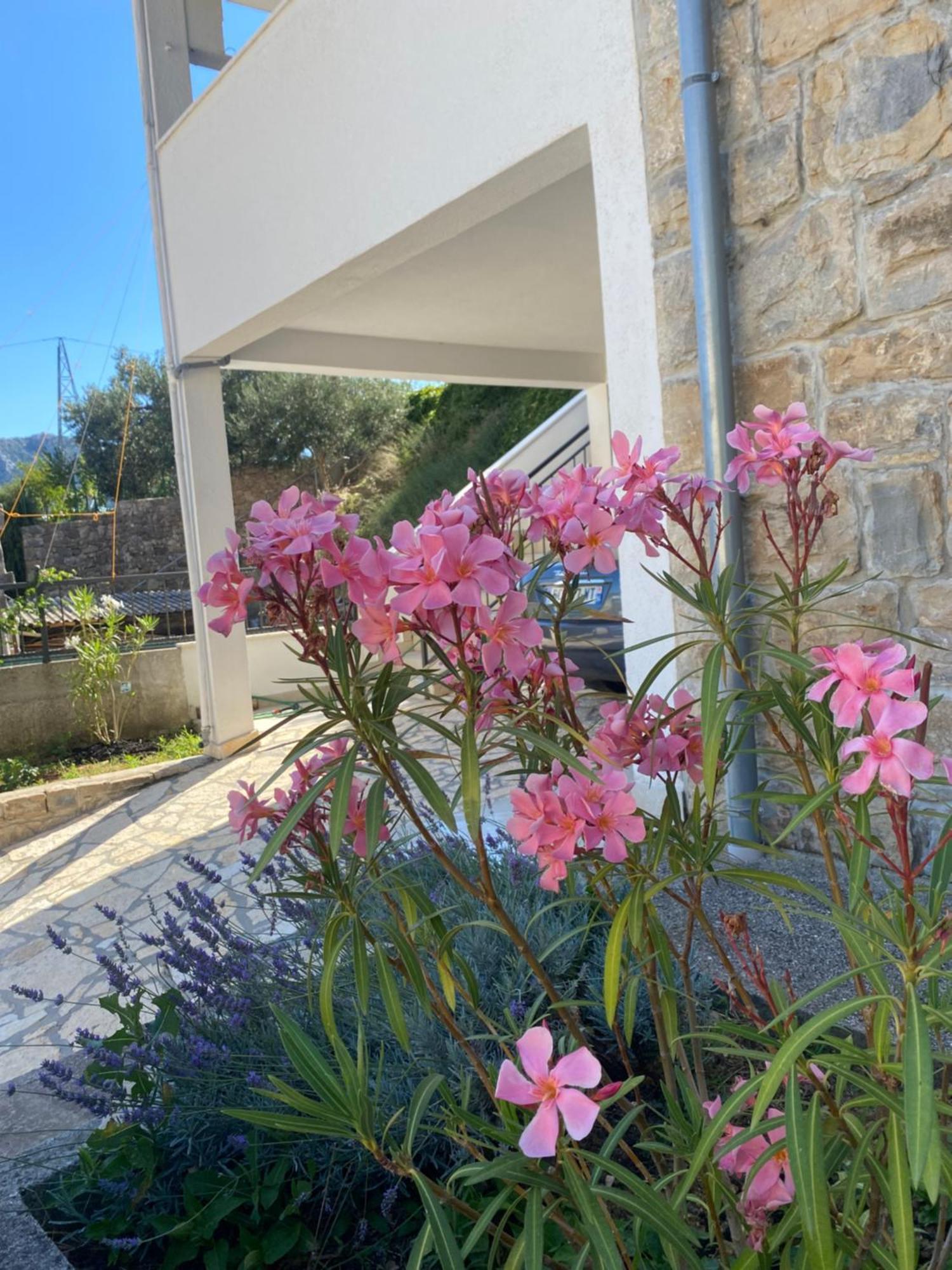 Authentique Maison Dalmate En Vieille Pierre Proche De Split, De La Et De La Montagne Villa Zrnovnica